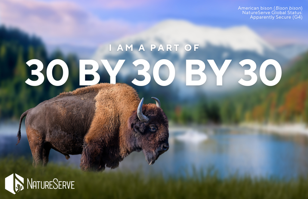 30x30x30 Volunteer Toolkit NatureServe